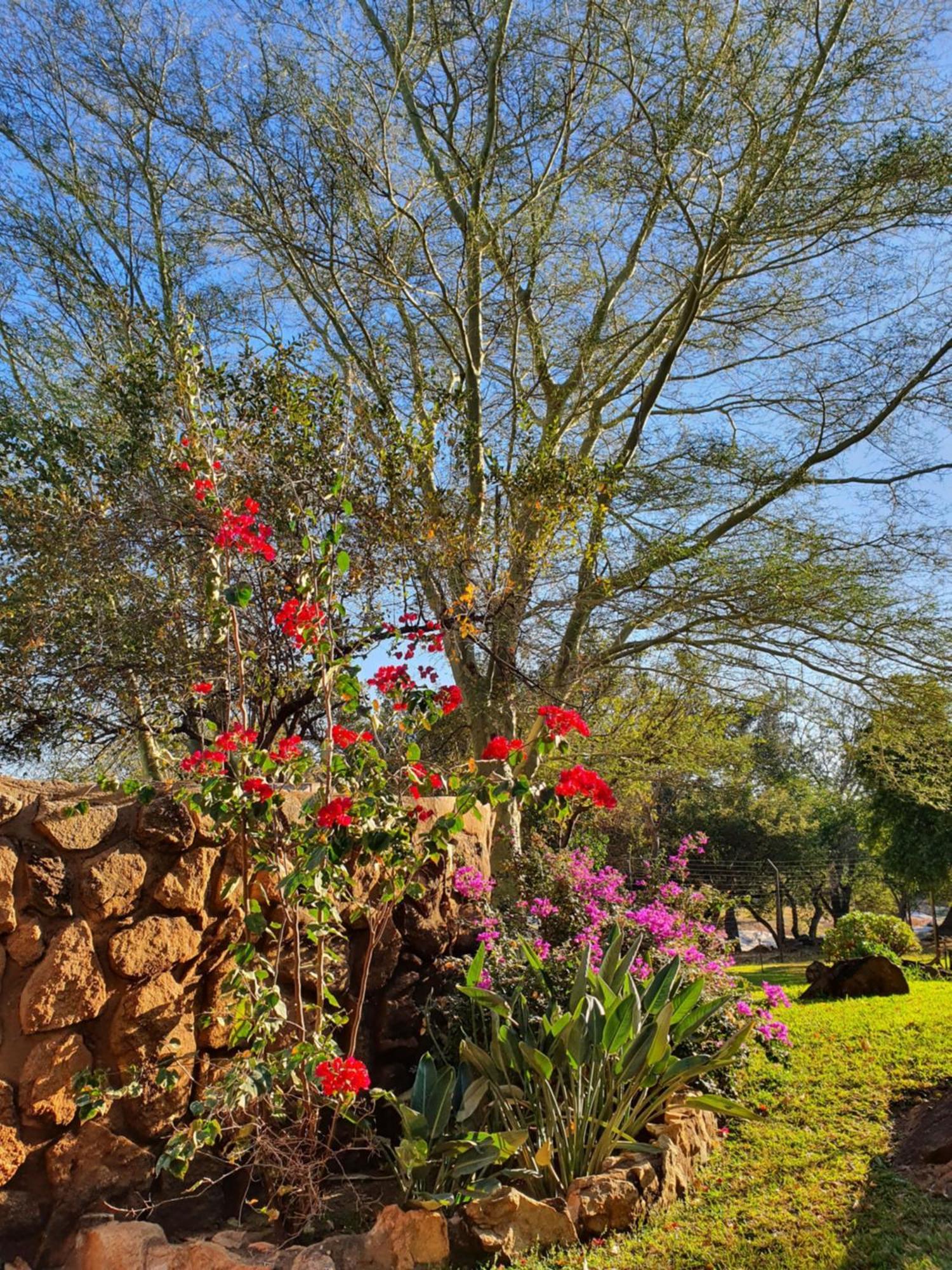 Hasekamp Family Bush Lodge โฮดสปรูท ภายนอก รูปภาพ