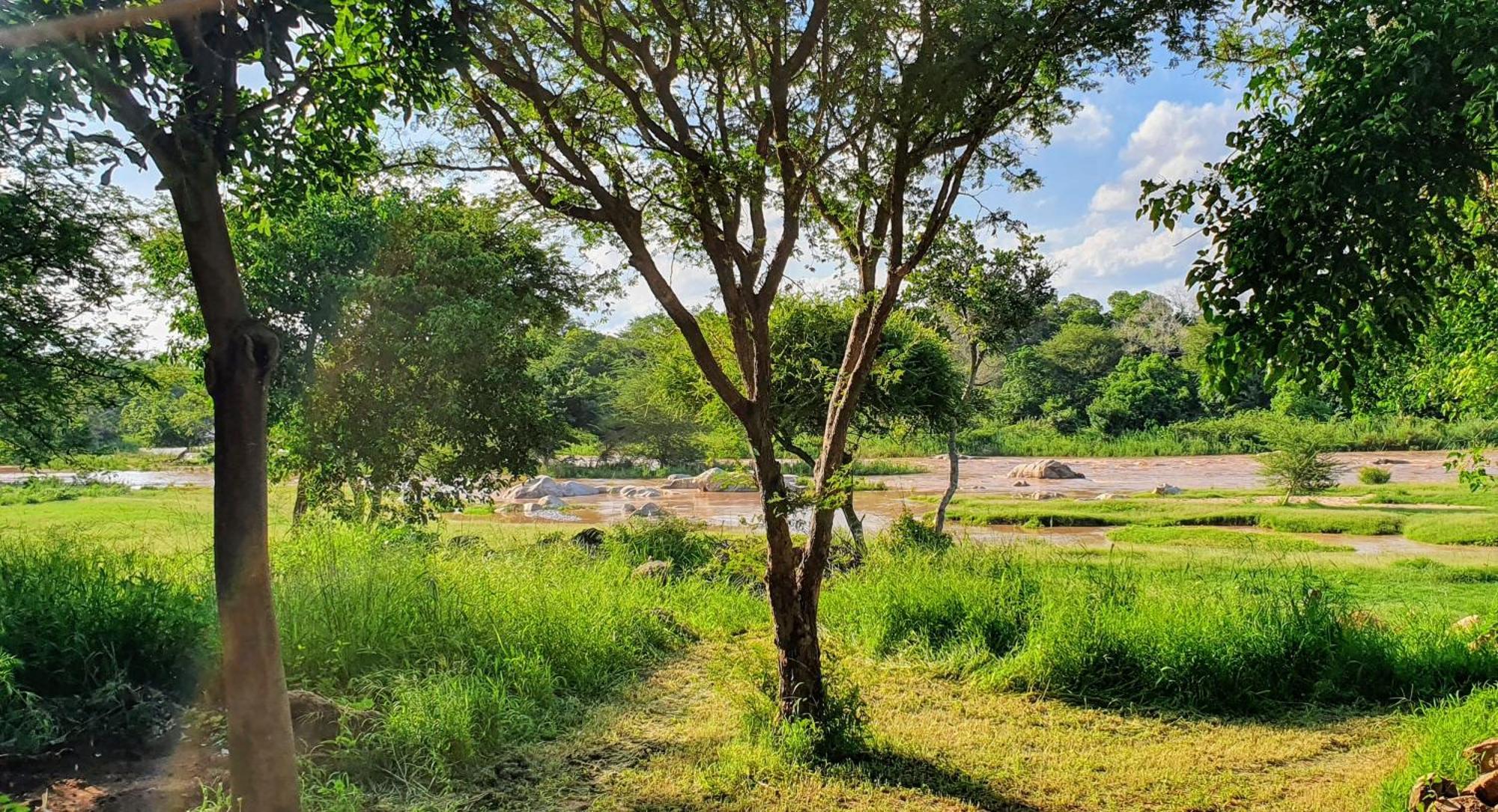 Hasekamp Family Bush Lodge โฮดสปรูท ภายนอก รูปภาพ