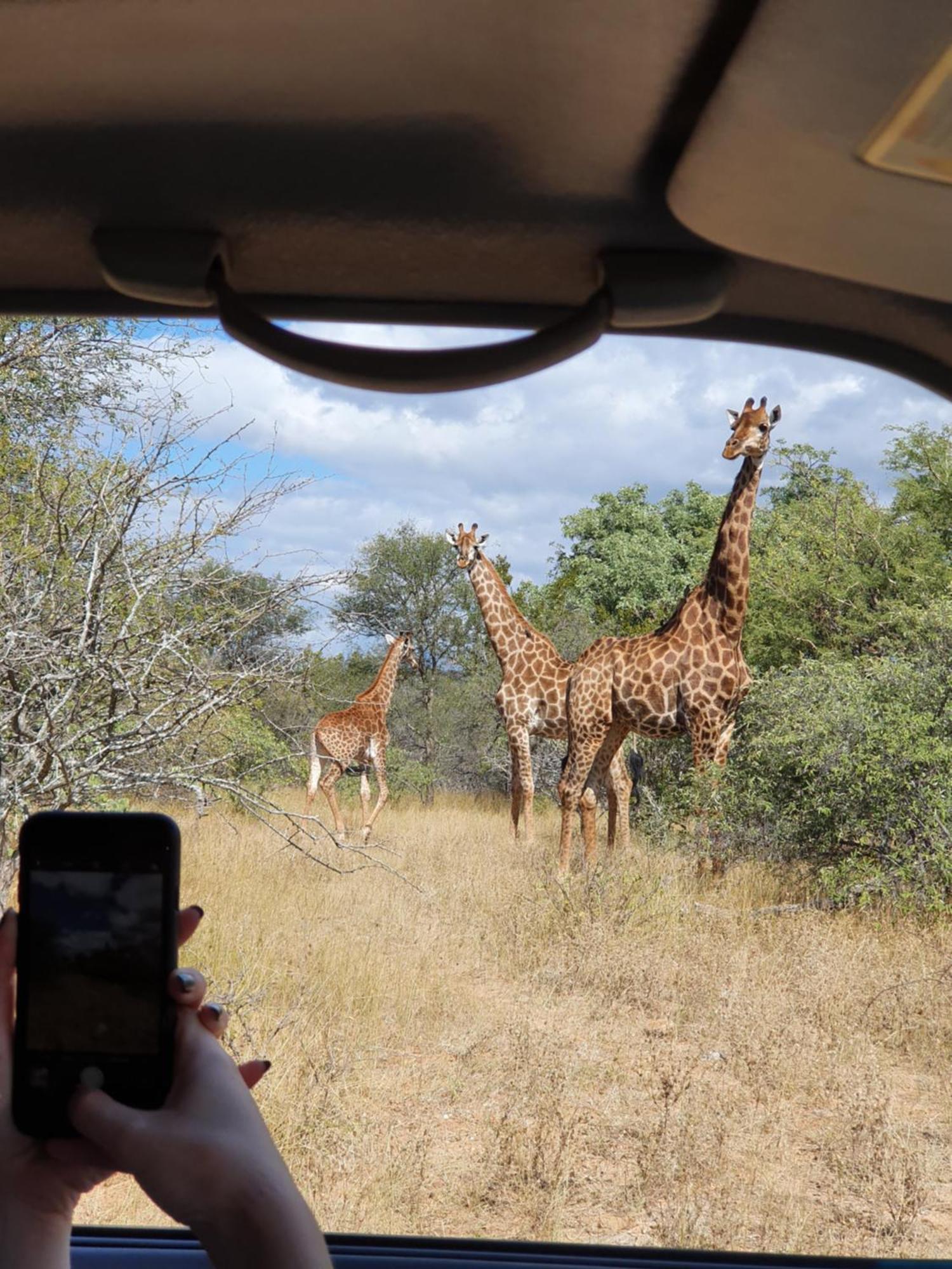 Hasekamp Family Bush Lodge โฮดสปรูท ภายนอก รูปภาพ