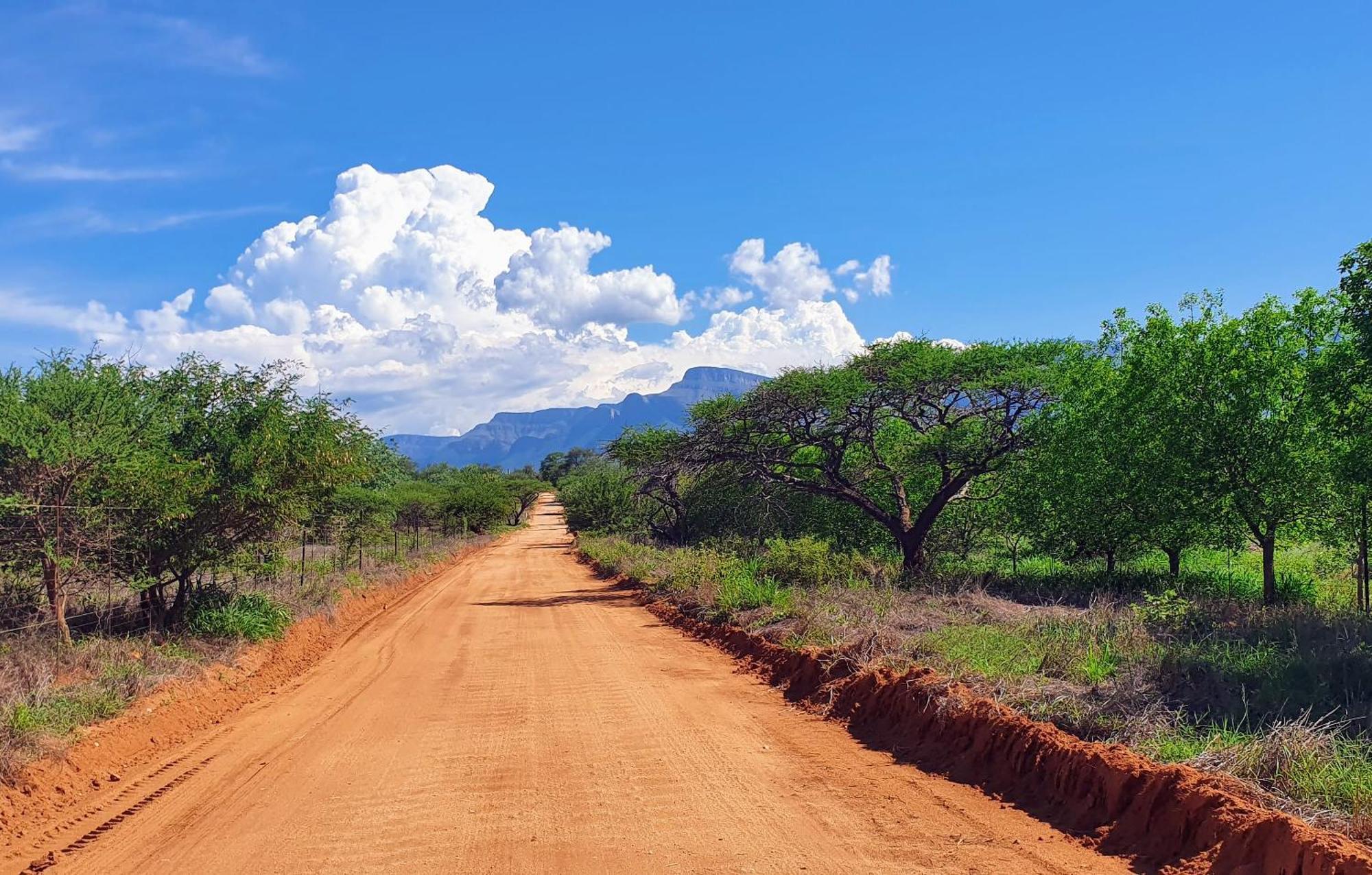 Hasekamp Family Bush Lodge โฮดสปรูท ภายนอก รูปภาพ